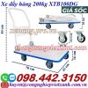 Xe đẩy hàng 200kg XTB100DG