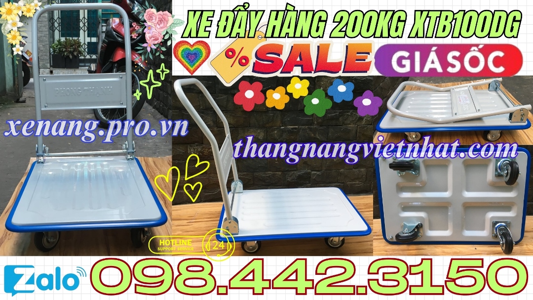 Xe đẩy hàng 200 kg XTB100DG